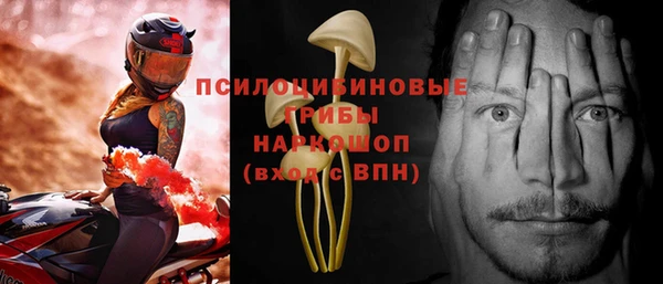 бошки Алексин