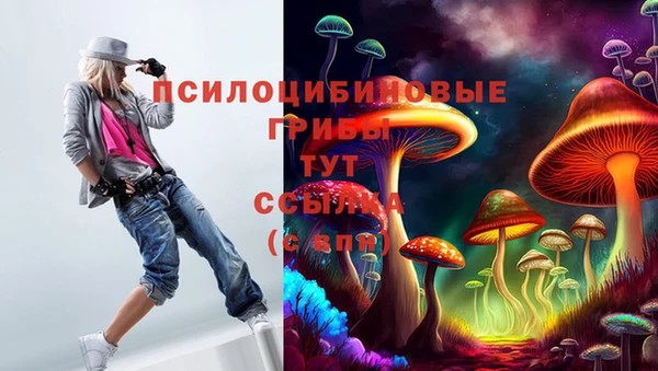бошки Алексин