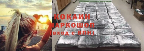 бошки Алексин