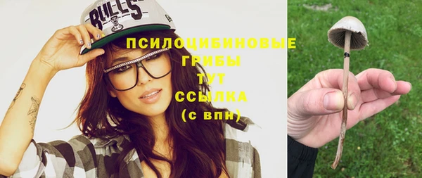бошки Алексин